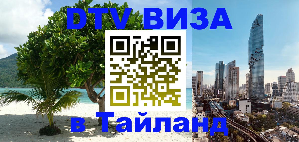 Сколько стоит DTV виза — актуальные цены, оформление даже без документов - Кисловодск  19.11.2025 